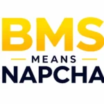 BMS Meaning Snapchat